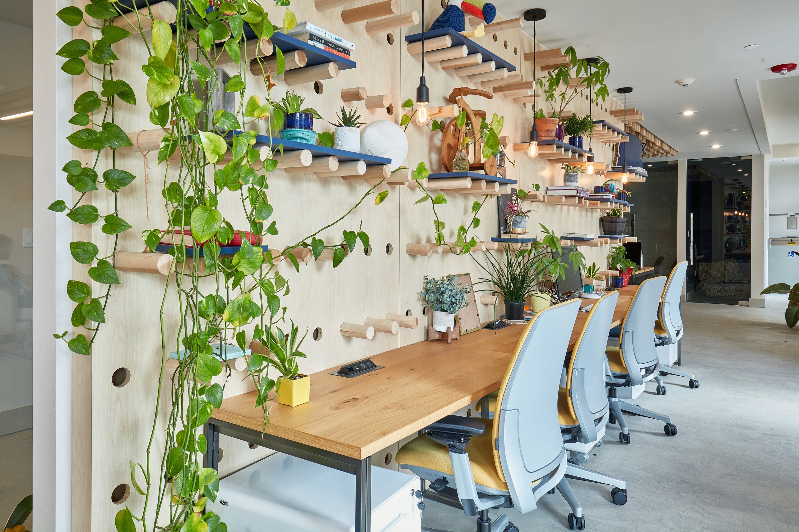 Plant Wall Above Long Desk in Coworking Office Environment